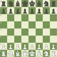specifications of chess mod apk.webp